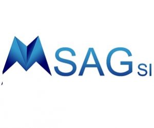 MSAGSI Logo